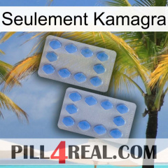 Only Kamagra 20